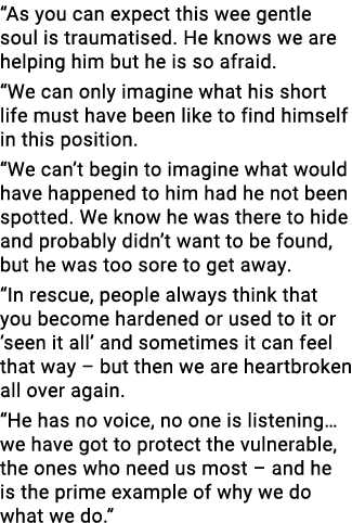  As you can expect this wee gentle soul is traumatised  He knows we are helping him but he is so afraid   We can only   