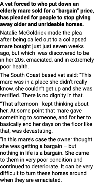 A vet forced to who put down an elderly mare sold for a  bargain  price, has pleaded for people to stop giving away o   