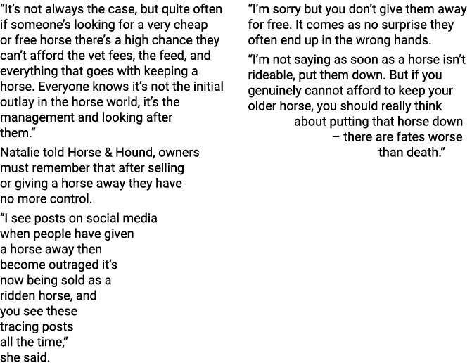  It s not always the case, but quite often if someone s looking for a very cheap or free horse there s a high chance    