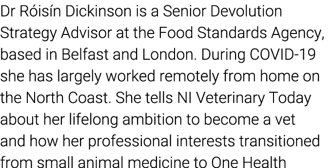 Dr Róisín Dickinson is a Senior Devolution Strategy Advisor at the Food Standards Agency, based in Belfast and London   