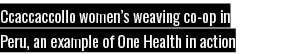 Ccaccaccollo women s weaving co-op in Peru, an example of One Health in action