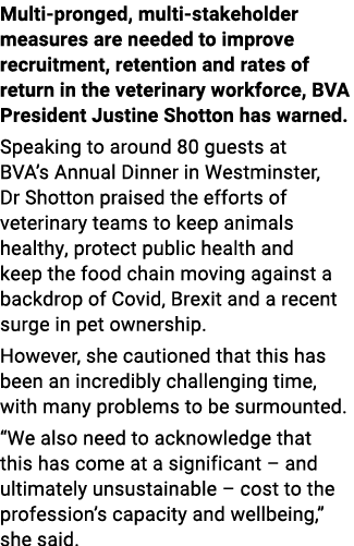 Multi-pronged, multi-stakeholder measures are needed to improve recruitment, retention and rates of return in the vet   