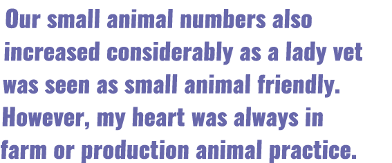 Our small animal numbers also increased considerably as a lady vet was seen as small animal friendly  However, my hea   
