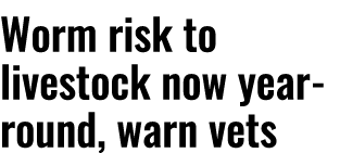 Worm risk to livestock now year-round, warn vets