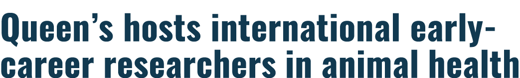 Queen s hosts international early-career researchers in animal health