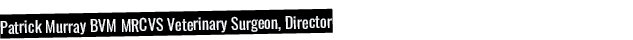Patrick Murray BVM MRCVS Veterinary Surgeon, Director