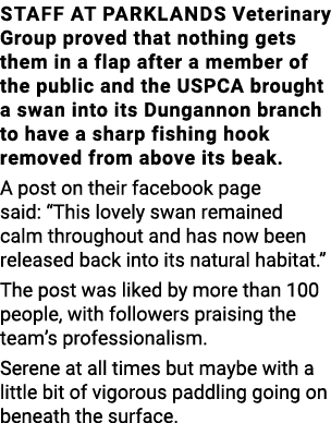 Staff at Parklands Veterinary Group proved that nothing gets them in a flap after a member of the public and the USPC   