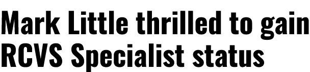 Mark Little thrilled to gain RCVS Specialist status