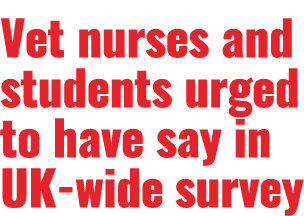 Vet nurses and students urged to have say in UK-wide survey 