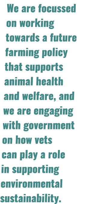 We are focussed on working towards a future farming policy that supports animal health and welfare, and we are engagi   