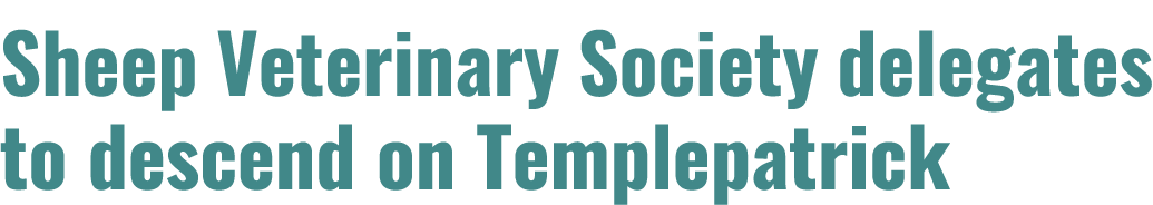 Sheep Veterinary Society delegates to descend on Templepatrick