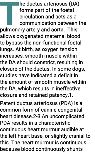 The ductus arteriosus (DA) forms part of the foetal circulation and acts as a communication between the pulmonary art   