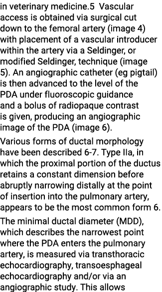 in veterinary medicine 5 Vascular access is obtained via surgical cut down to the femoral artery (image 4) with place   