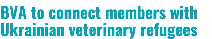 BVA to connect members with Ukrainian veterinary refugees 