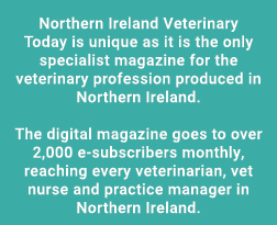Northern Ireland Veterinary Today is unique as it is the only specialist magazine for the veterinary profession produ   