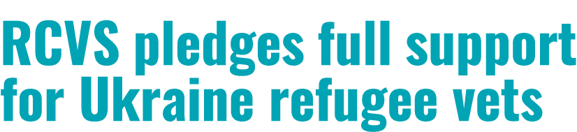 RCVS pledges full support for Ukraine refugee vets 