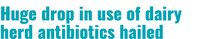 Huge drop in use of dairy herd antibiotics hailed