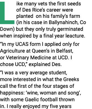 L ike many vets the first seeds of Des Rice s career were planted on his family s farm (in his case in Ballynahinch,    