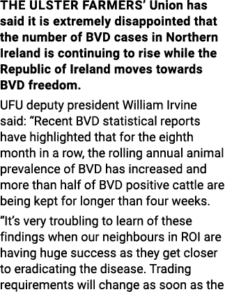 The Ulster Farmers  Union has said it is extremely disappointed that the number of BVD cases in Northern Ireland is c   