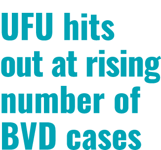 UFU hits out at rising number of BVD cases