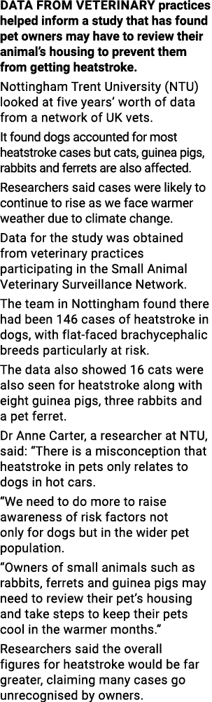 Data from veterinary practices helped inform a study that has found pet owners may have to review their animal s hous   