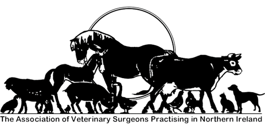 furry friends striped cat and corgi dog sit on a blooming summer sunny meadow