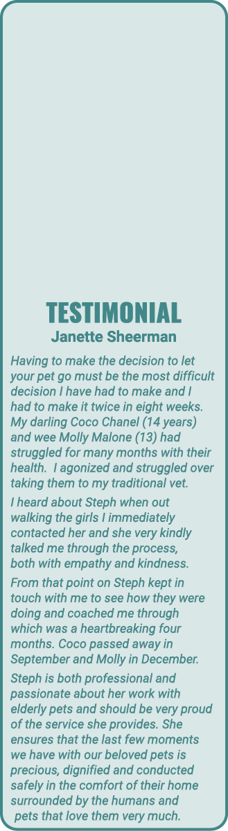 Testimonial Janette Sheerman Having to make the decision to let your pet go must be the most difficult decision I hav   