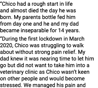  Chico had a rough start in life and almost died the day he was born  My parents bottle fed him from day one and he a   