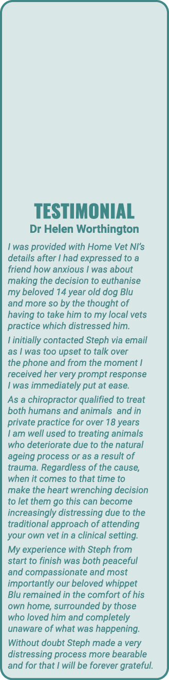 Testimonial Dr Helen Worthington I was provided with Home Vet NI s details after I had expressed to a friend how anxi   