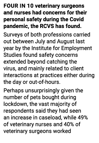 Four in 10 veterinary surgeons and nurses had concerns for their personal safety during the Covid pandemic, the RCVS    