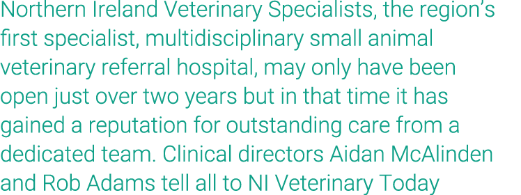 Northern Ireland Veterinary Specialists, the region s first specialist, multidisciplinary small animal veterinary ref   