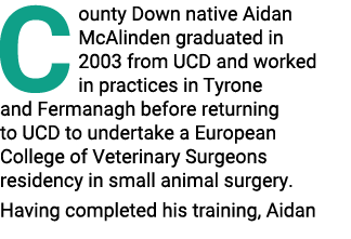 C ounty Down native Aidan McAlinden graduated in 2003 from UCD and worked in practices in Tyrone and Fermanagh before   