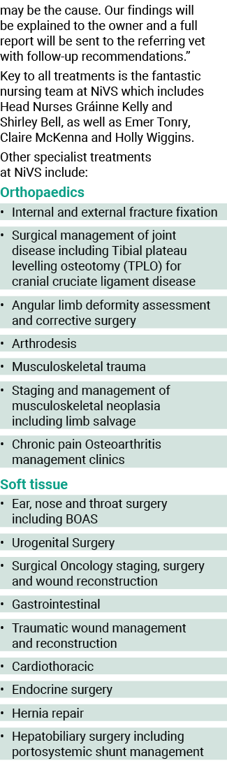 may be the cause  Our findings will be explained to the owner and a full report will be sent to the referring vet wit   
