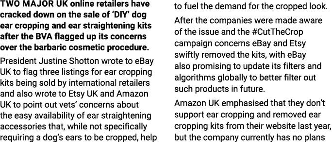 Two major UK online retailers have cracked down on the sale of  DIY  dog ear cropping and ear straightening kits afte   