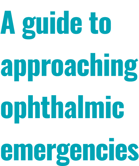 A guide to approaching ophthalmic emergencies