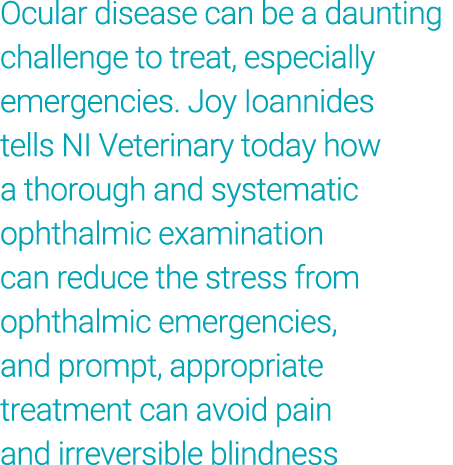 Ocular disease can be a daunting challenge to treat, especially emergencies  Joy Ioannides tells NI Veterinary today    