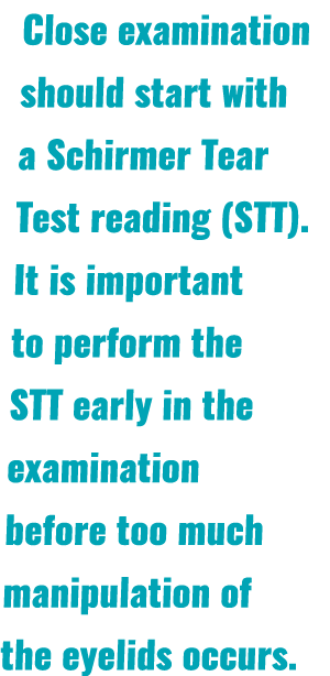 Close examination should start with a Schirmer Tear Test reading (STT)  It is important to perform the STT early in t   
