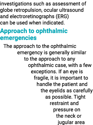 investigations such as assessment of globe retropulsion, ocular ultrasound and electroretinographs (ERG) can be used    