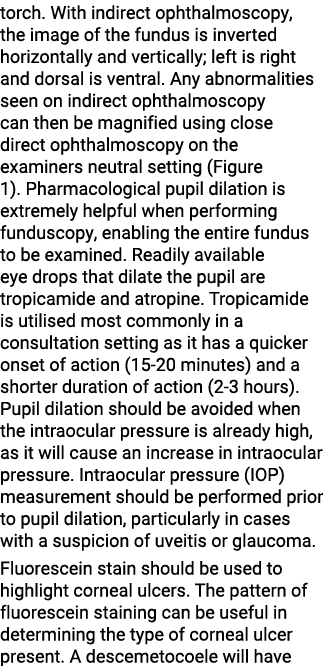 torch  With indirect ophthalmoscopy, the image of the fundus is inverted horizontally and vertically; left is right a   