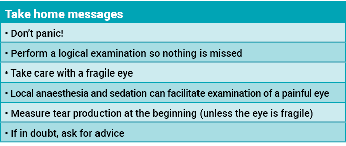 Take home messages,  Don t panic ,  Perform a logical examination so nothing is missed,  Take care with a fragile eye   