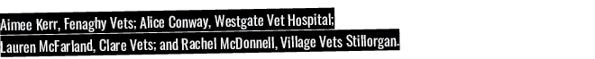 Aimee Kerr, Fenaghy Vets; Alice Conway, Westgate Vet Hospital; Lauren McFarland, Clare Vets; and Rachel McDonnell, Vi   
