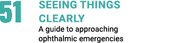 51 Seeing things  clearly A guide to approaching ophthalmic emergencies