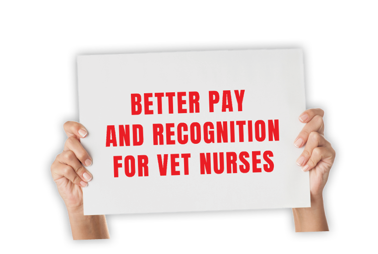 Woman hands holding paper isolated on white 