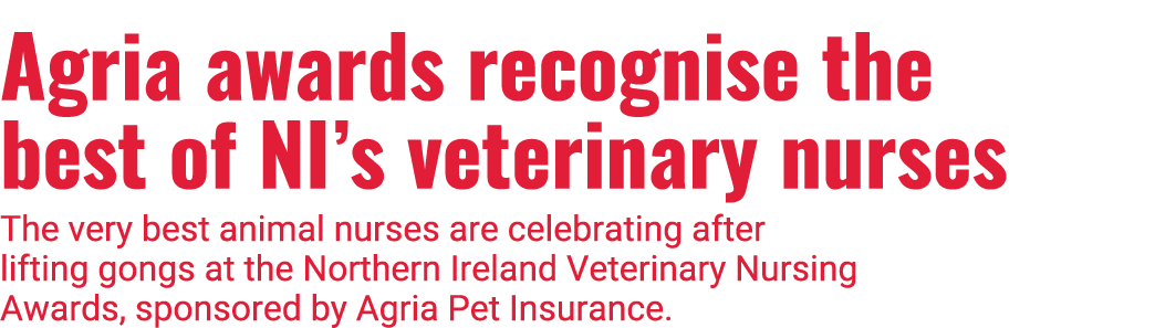 Agria awards recognise the best of NI s veterinary nurses The very best animal nurses are celebrating after lifting g   