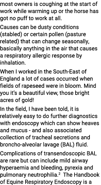 most owners is coughing at the start of work while warming up or the horse has got no puff to work at all  Causes can   