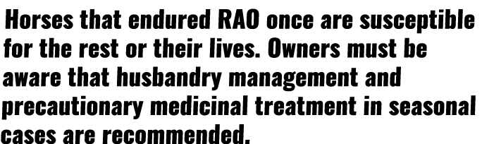 Horses that endured RAO once are susceptible for the rest or their lives  Owners must be aware that husbandry managem   