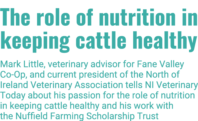 The role of nutrition in keeping cattle healthy Mark Little, veterinary advisor for Fane Valley Co-Op, and current pr   