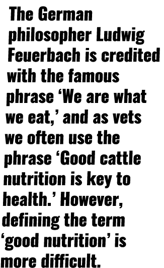 The German philosopher Ludwig Feuerbach is credited with the famous phrase  We are what we eat,  and as vets we often   
