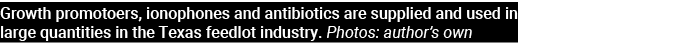 Growth promotoers, ionophones and antibiotics are supplied and used in large quantities in the Texas feedlot industry   
