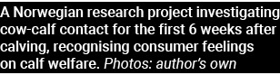 A Norwegian research project investigating cow-calf contact for the first 6 weeks after calving, recognising consumer   